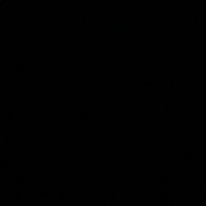 Meet your Posher, Mia